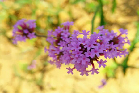 1537501459186559.jpg 20180921113319.jpg