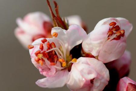 1537850207722814.jpg 20180925111800.jpg