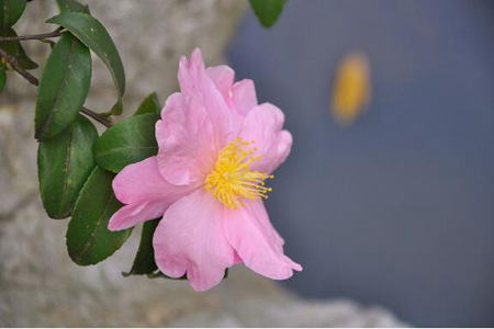 1538020611829705.jpg 20180927114727.jpg