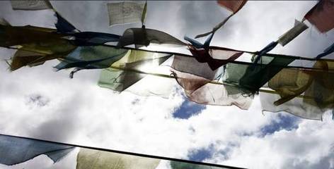 1538126563909025.jpg 女人的事业和家庭,向来都不是自由和远方.jpg