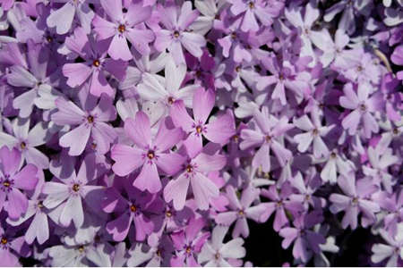 1538191763616524.jpg 20180929111135.jpg