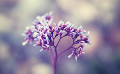 1533699637337355.jpg 20180808112023.jpg