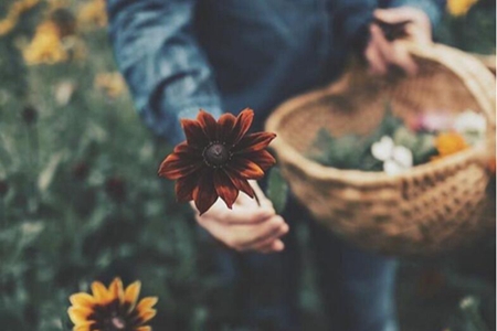 1536626438262234.jpg 有些坏男人,是好女人宠坏的