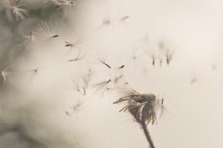 1536716556573710.jpg pg.jpg