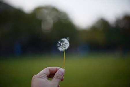 1536738636406450.jpg 塑料姐妹情怎么来的?嫉妒二字是根源