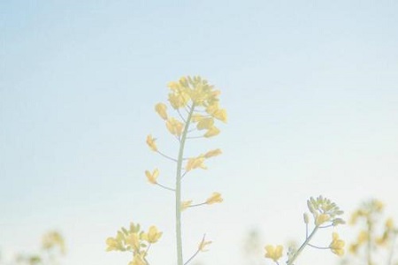 1536742150748221.jpg tz.jpg