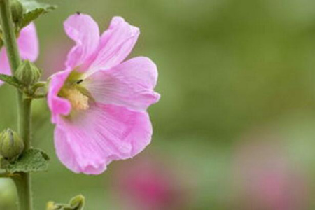 1536743752662638.jpg 20180912112628.jpg