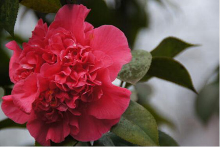 1536743795696073.jpg 20180912112641.jpg