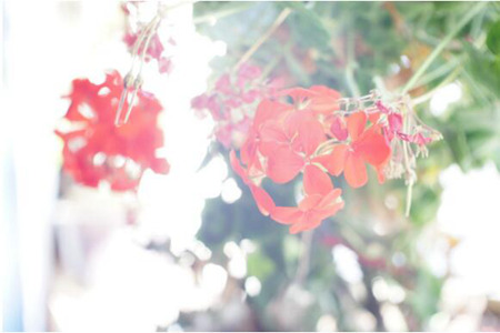 1536809841327638.jpg 20180913111748.jpg