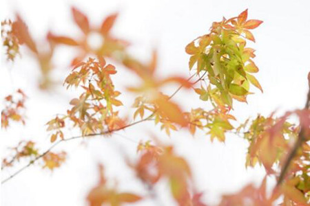 1536809912872298.jpg 20180913111803.jpg