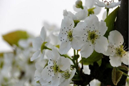 1536832802662572.jpg 20180913111817.jpg