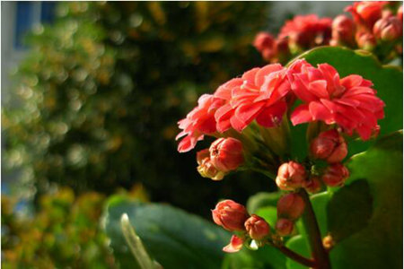 1536832843849141.jpg 20180913111910.jpg