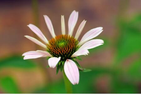 1537156155957834.jpg 20180917110843.jpg