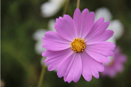 1537156191885032.jpg 20180917110855.jpg