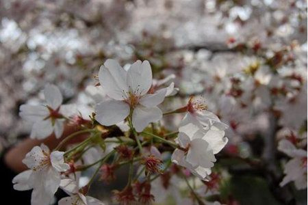 1537175471942733.jpg 20180917162525.jpg