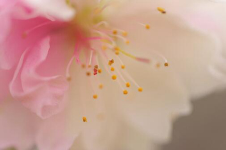 1537243157426671.jpg 20180918114944.jpg