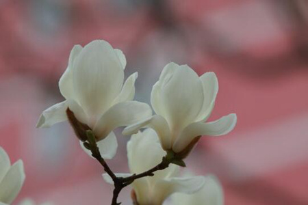 1537243200216834.jpg 20180918115000.jpg