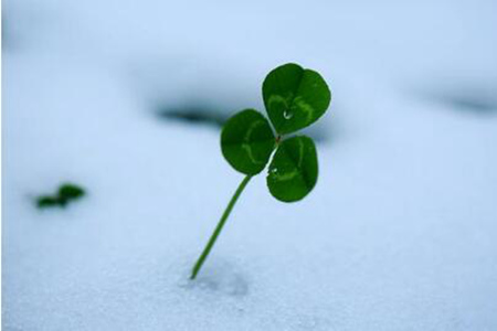 1537262863436448.jpg 20180918164041.jpg