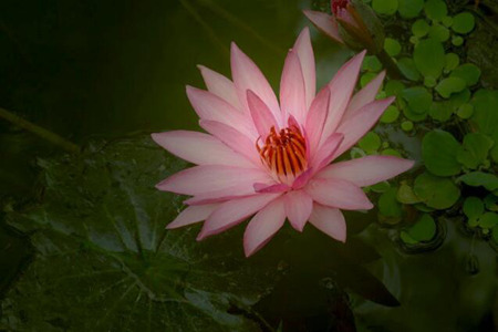 1537329209338298.jpg 20180919111111.jpg