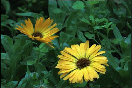 1537329330189005.jpg 20180919111125.jpg