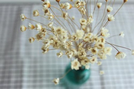 1537341447624636.jpg al.jpg