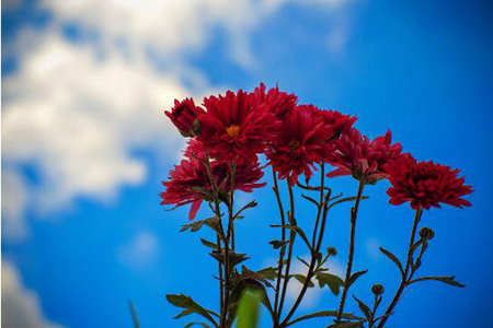 1537347686279591.jpg 20180919170027.jpg