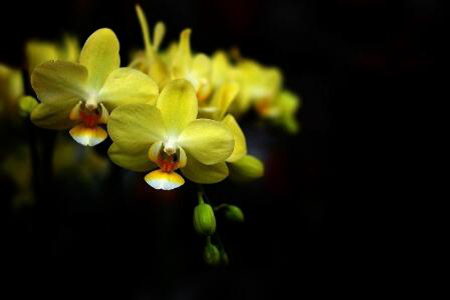 1537347730310451.jpg 20180919170043.jpg