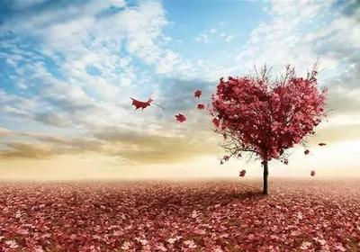 1537431136583047.jpg 女人身后有事业才不会倒,遇到渣男才会决绝的甩掉〖下〗.jpg