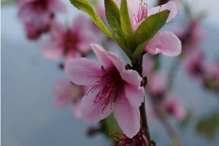 1536312760942835.jpg 20180907112706.jpg