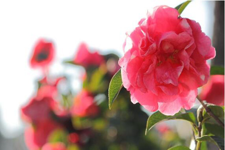 1536312804816892.jpg 20180907112723.jpg