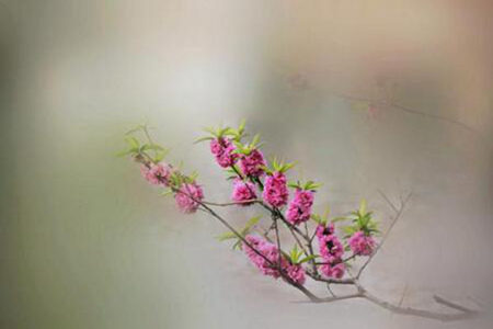 1536551360645177.jpg 20180910112231.jpg