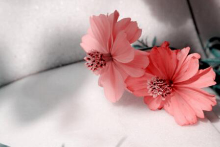 1536571878385712.jpg 20180910112252.jpg