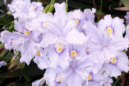 1536896621283826.jpg 20180914112314.jpg