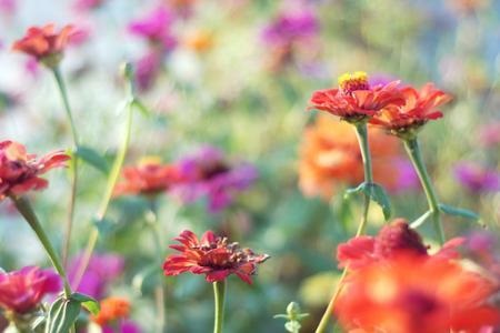 1536913448723627.jpg tb.jpg