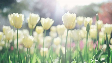 情感口述：我不是一个自私的女人〖后篇〗