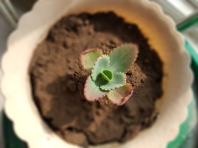 一碗面的温度,背后是教育的难度〖后篇〗