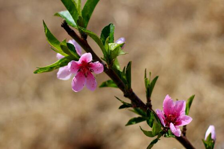 1535965538449166.jpg 20180903110156.jpg