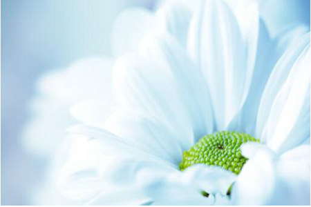 1535341611886352.jpg 20180827112901.jpg