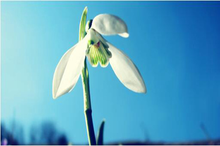 1535360645726796.jpg 20180827112959.jpg