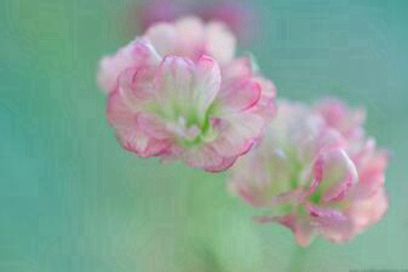 1534498304846102.jpg 201808171134072.jpg