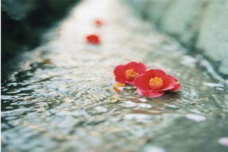 1534498405993894.jpg 201808171134202.jpg