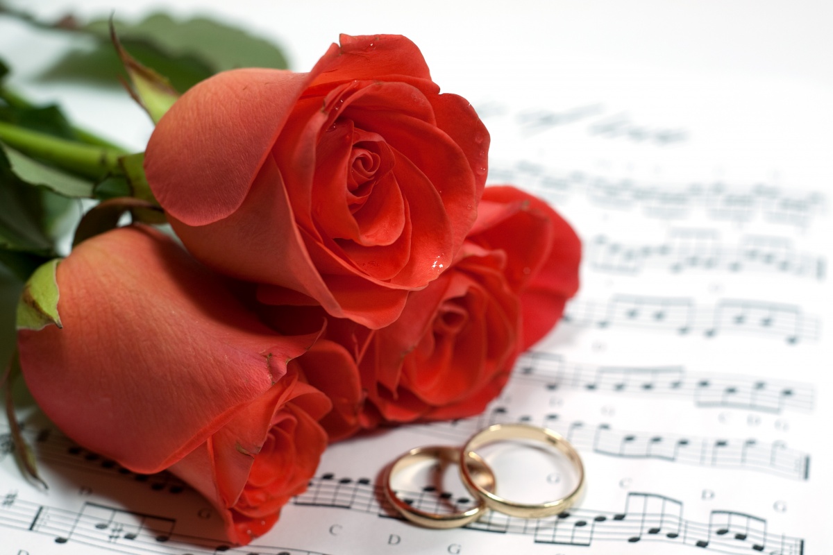 维持两个人生活的方法：感情需要磨合，生活慢慢继续