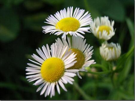 1534154359310009.jpg 20180813123654.jpg