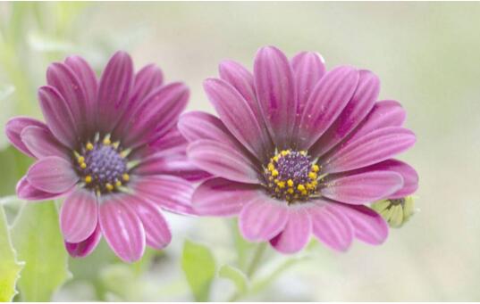 1534323220318783.jpg 20180815112127.jpg