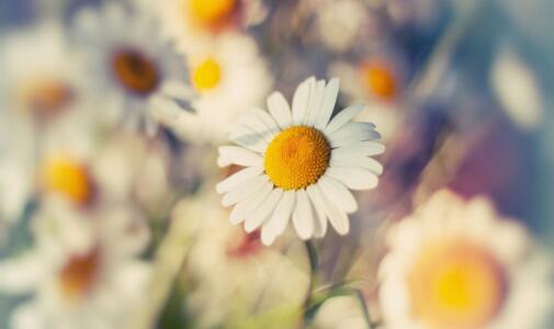 1533288595478955.jpg 20180803172836.jpg