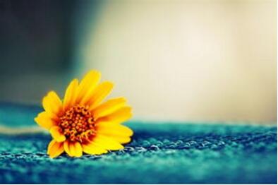 1533549296557656.jpg 20180806175351.jpg