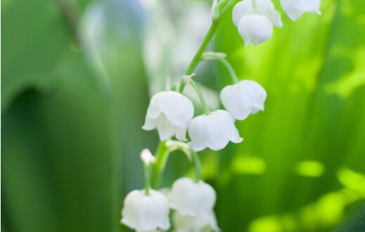 1533613985503763.jpg 20180807114645.jpg