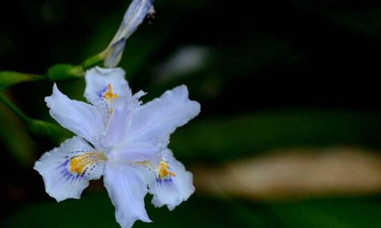 1533614025803653.jpg 20180807114705.jpg