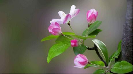 1533634702617892.jpg 20180807171837.jpg