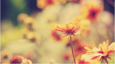 1533699589526091.jpg 20180808112010.jpg